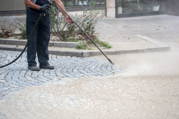Best Pre-Holiday Cleaning  in Durango, CO